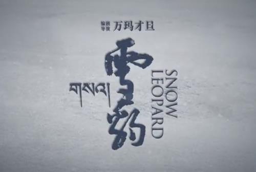 <b>Ӱѩŵؼ</b>