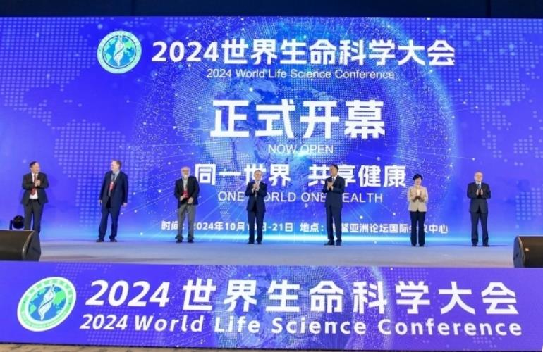 2024ѧںϲ