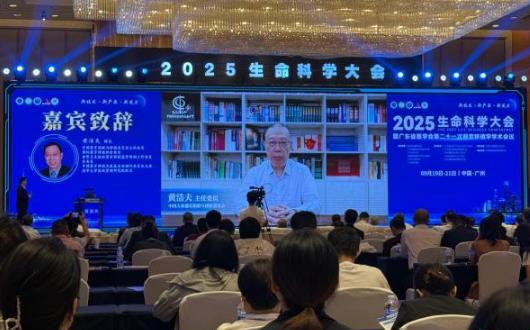 2025ѧ