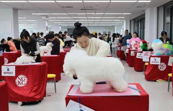 首届“泉来爱宠”海峡两岸(济南)宠物美容护理技能比
