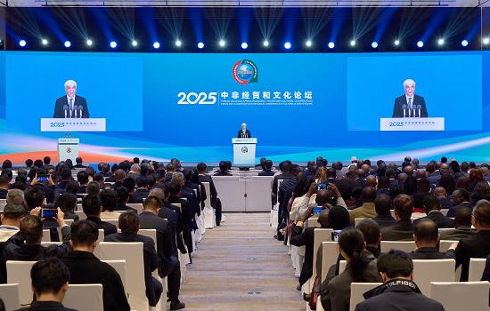 2025中非经贸和文化论坛举办