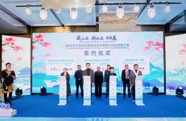 2025年西藏林芝巴宜区高质量投资价值