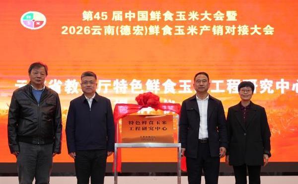 ��45���й���ʳ���״�����