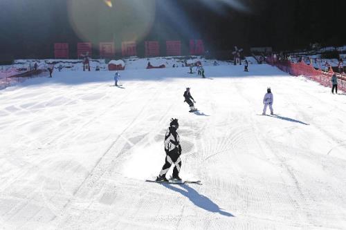 青海省第十九届运动会滑雪比赛(单板