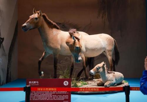 �������´�����ȫ����Ф�Ļ���չ���ڹ�����Ȼ����ݿ�