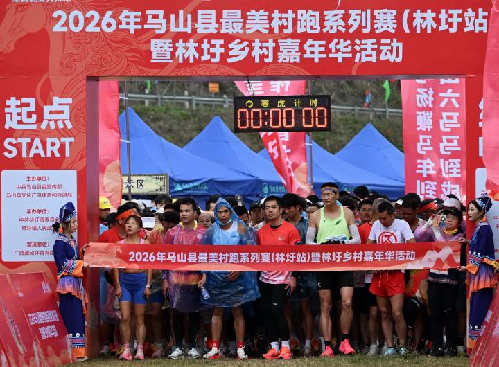 2026����ɽ�ء��������ܡ�ϵ��������