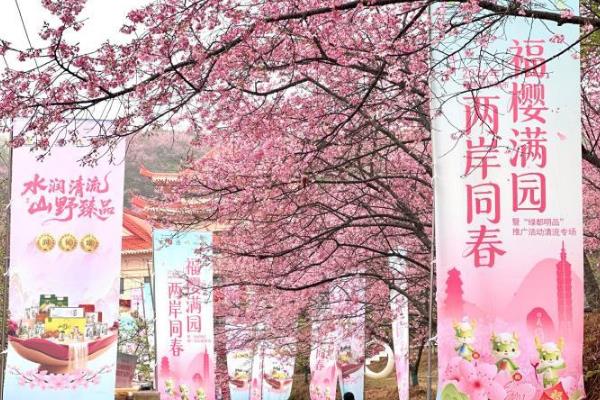 2026��Ͽ������������ӣ���Ļ�������