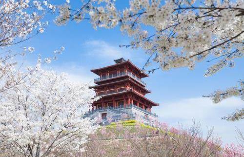 2026������ʮһ��ƺ�ӣ������Ļ