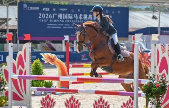 2026���ݹ���������ս������