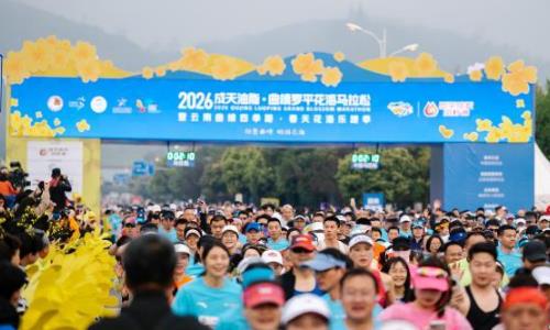 2026������ƽ���������ɿ���