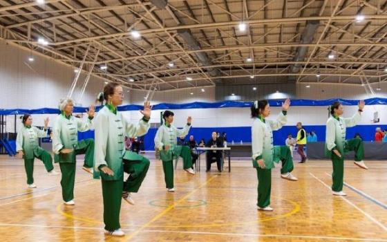 2026�Ĵ�����̫��ȭ��������������