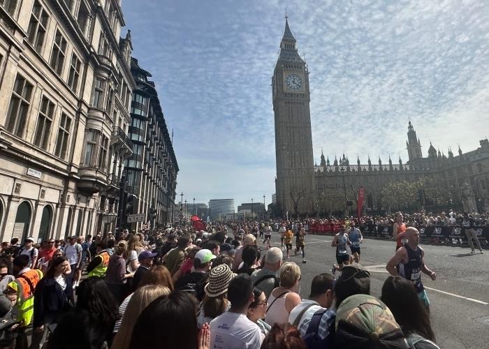 2026�׶�������������