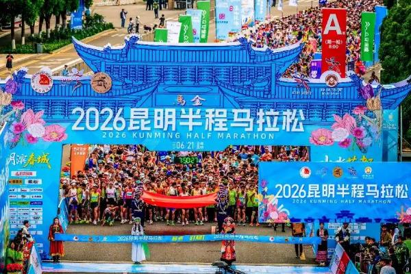 2026���������������ǹ����